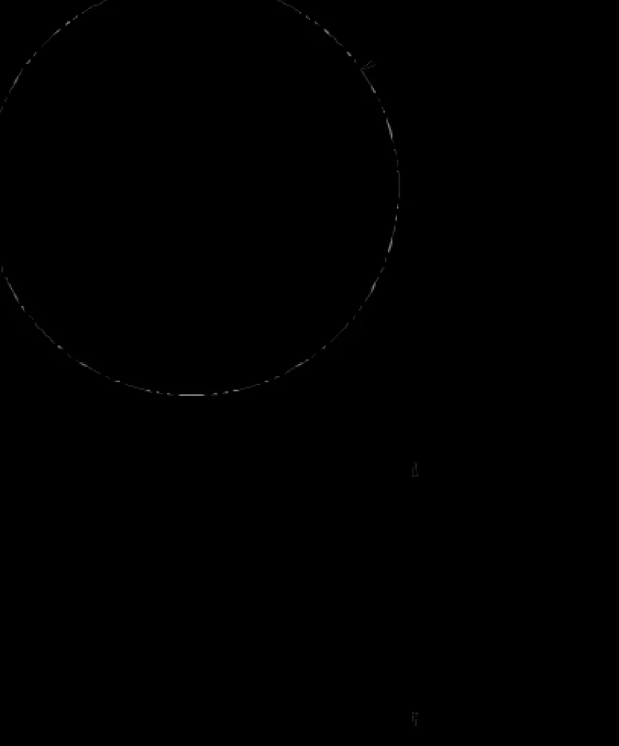 C62 Spisebord fra FDB Møbler