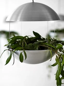 Cadovius Flower Lampe, alu fra DK3