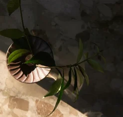 Cresco Propagation Vases, sæt á 2 stk. fra Audo Copenhagen