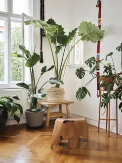 Eames Elephant Plywood fra Vitra