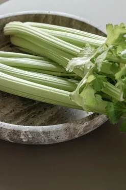 Hyben Skål, travertin silver fra Wabi Sabi Nordic