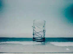 Ivy Drinking Glass fra NIKO JUNE