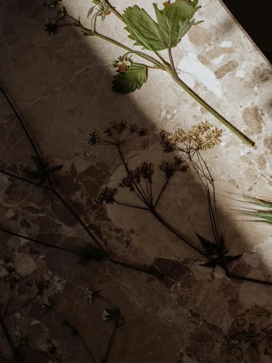 Konkylie Sofabord, marrone fra Wabi Sabi Nordic