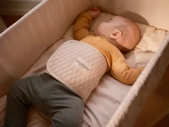 Madras Fixi, vugge fra Moonboon