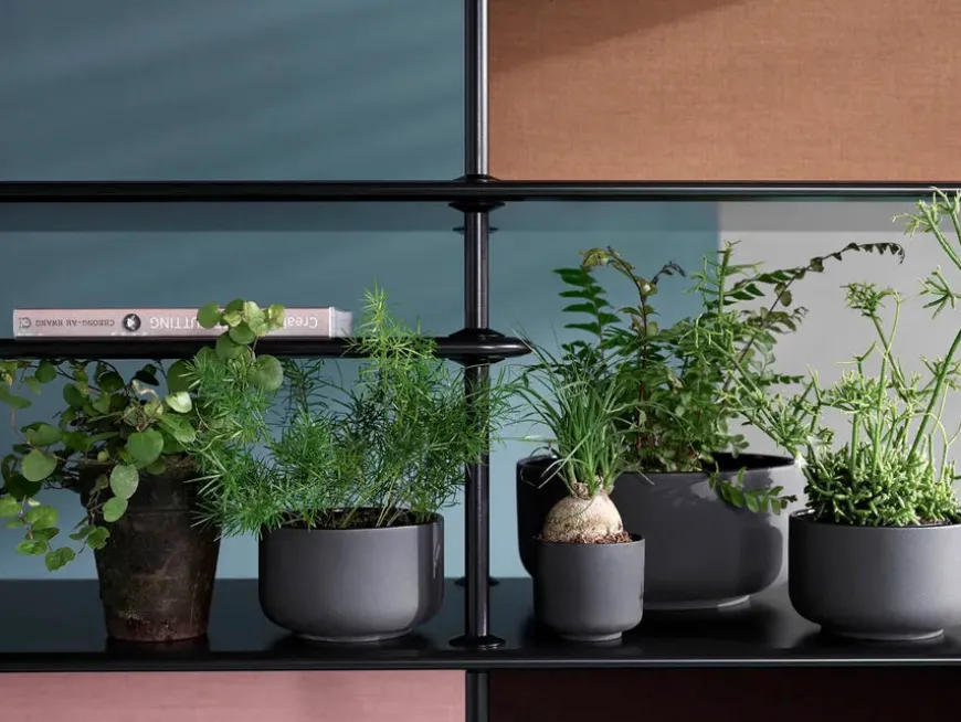 Montana Free Reol 542000, chrome