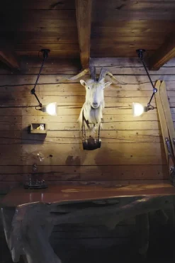 Nr. 304 L40 væglampe fra Lampe Gras