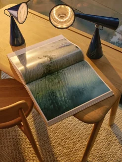 Pose Task LED Bordlampe fra Tom Dixon