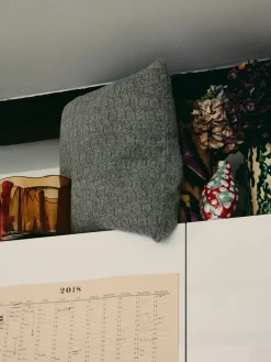 Raul Pude, Albicant fra Aiayu