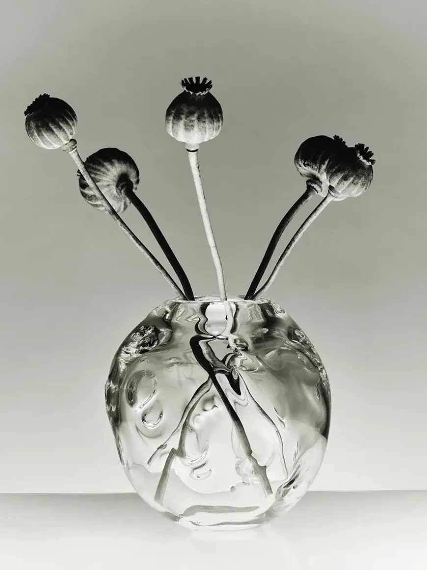 S.R. Vintage Vase Deco Clear fra Louise Roe