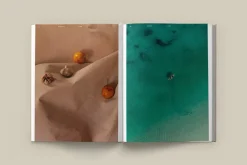 The Design Hotels Book – Taste and Place fra New Mags