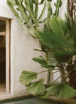 The Kinfolk Garden fra New Mags