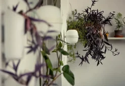 Wally Cestita Væglampe fra Santa and Cole